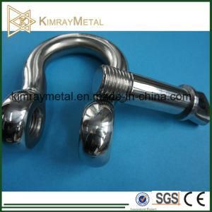 Stainless Steel Heavy Duty Screw Pin Anchor Shackle with Oversized Pin