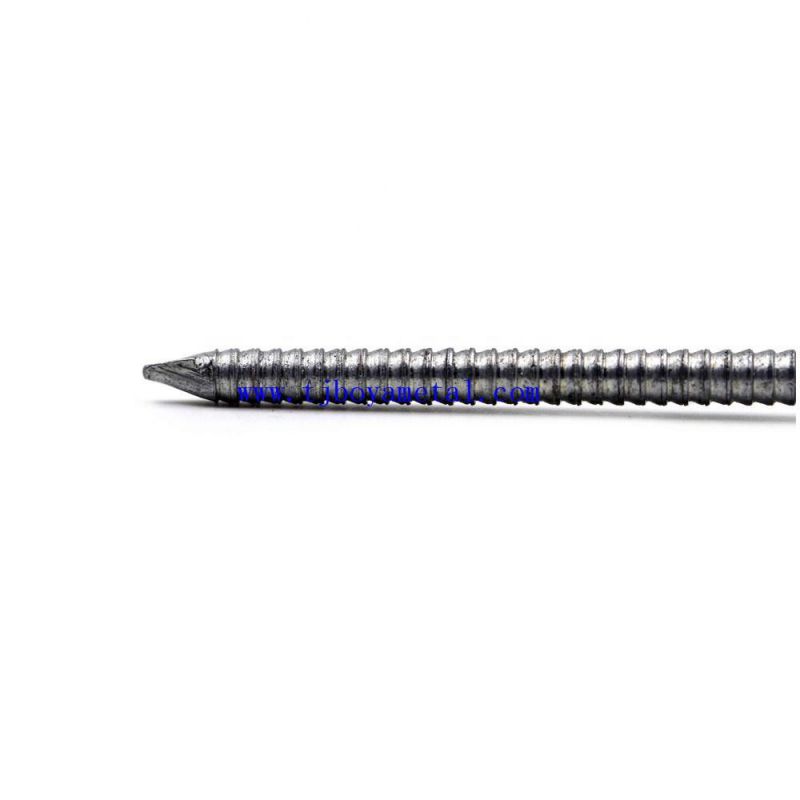 China Factory Premium Quality Building Materials Bright Polished Ring Shank Nail for Construction