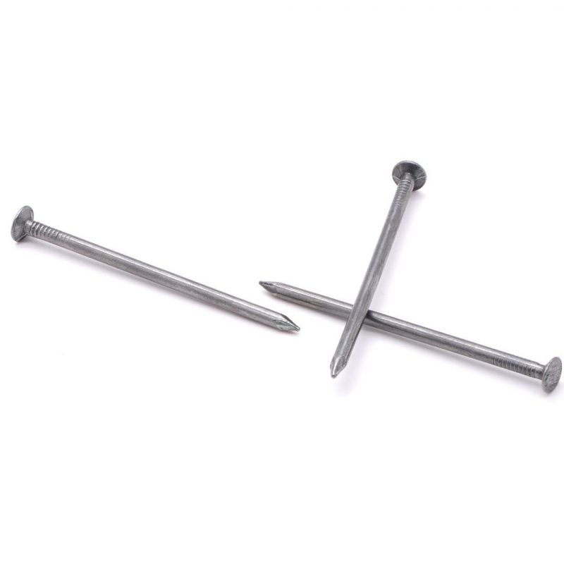 Boya Factory Supply Hardware/Iron Nail/Common Nail with Hot Dipped