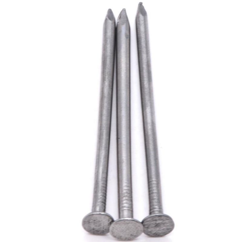 Common Wire Nails Galvanized 2.5 Inch Common Nail Clavo #1 to 4