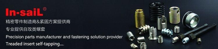 Ldin7965 M6 Brass Self Tapping Thread Insert for Plastics