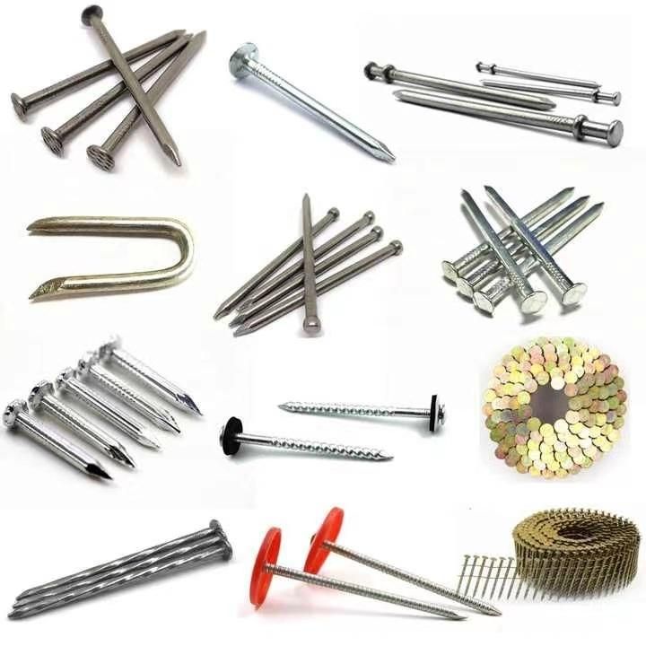 High Quality Bulk Nails Whose Kinds From Tianjin Hongli Cheap Price
