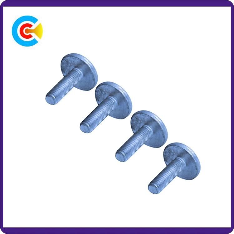 Carbon Steel 4.8/8.8/10.9 Galvanized/M6 Customized Plastic Fastener Round/Flat Head Screws