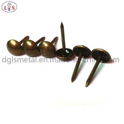 Furniture Nail with Good Quality