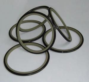 Wholesale Polytetrafluoroethylene Glyd Ring