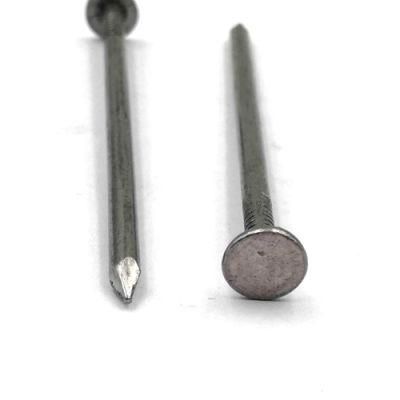 Wholesale Factory Price Galvanized Steel Common Polished Wire Iron Nail