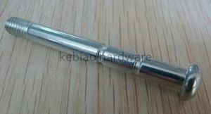 Hot Sale Self Drilling Screw with Good Quality (KB-279)