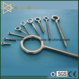 Stainless Steel Welded Eye Screw with Nut and Washer