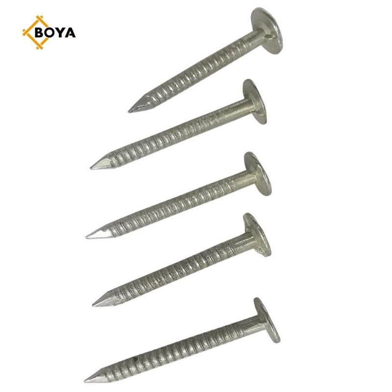 Hot Sale Ring Nail with Competitive Price