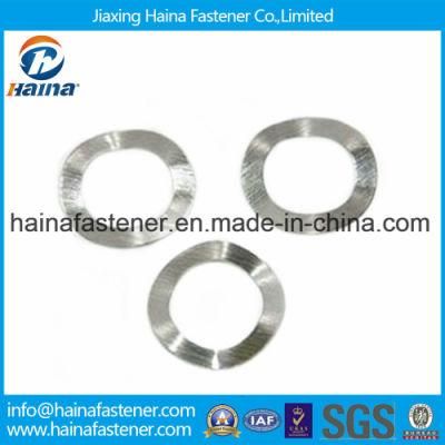 DIN137 Stainless Steel SS304 SS316 M2-10 Wave Washer