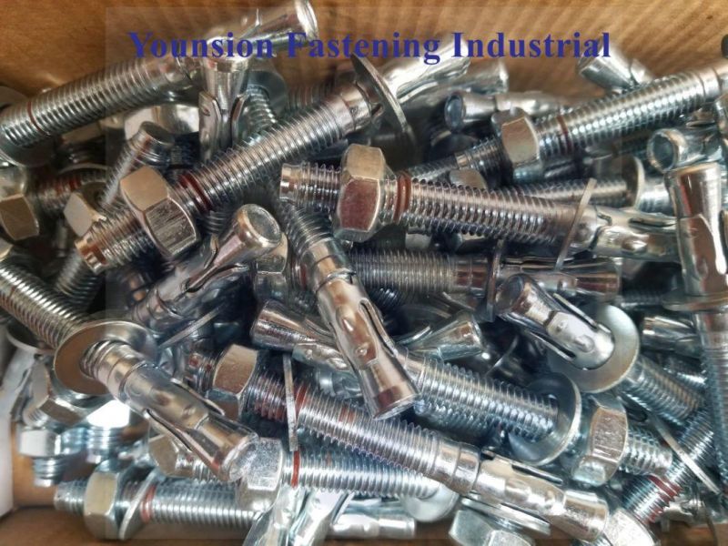 White Blue Zp/Dac/HDG Carbon Steel with Mark Lined Wedge Anchor/Through Bolt/Drop-in Wedge Anchor