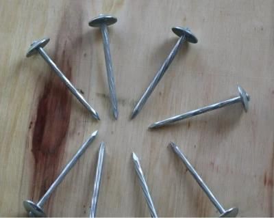 Galvanized Umbrella Head Roofing Nail with Rubber Washer Used for Wooden Furniture, Household