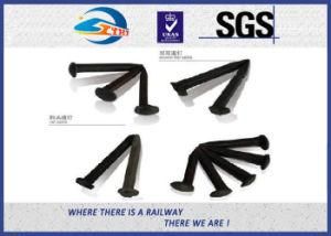 Railway Dog Spike, Customize Screw Track Spikes