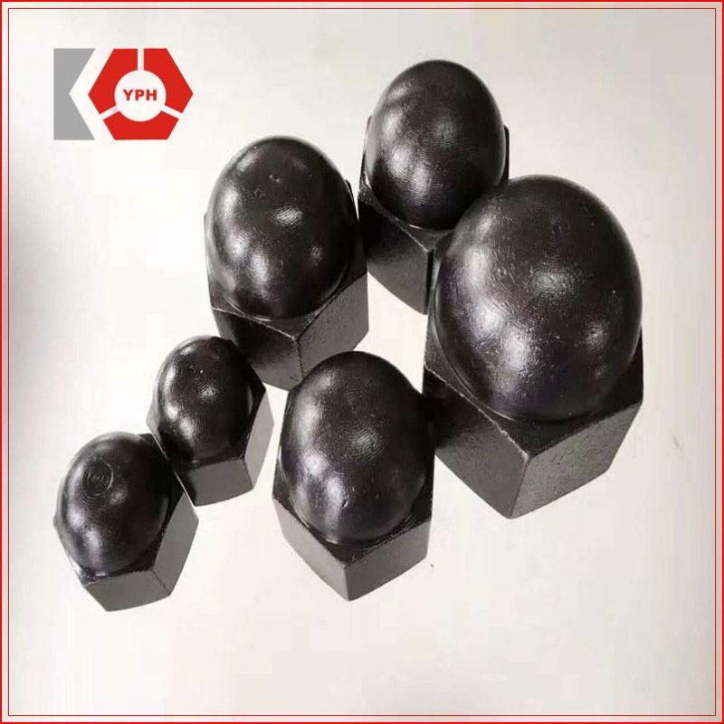 DIN1587 Hex Nuts Round Head