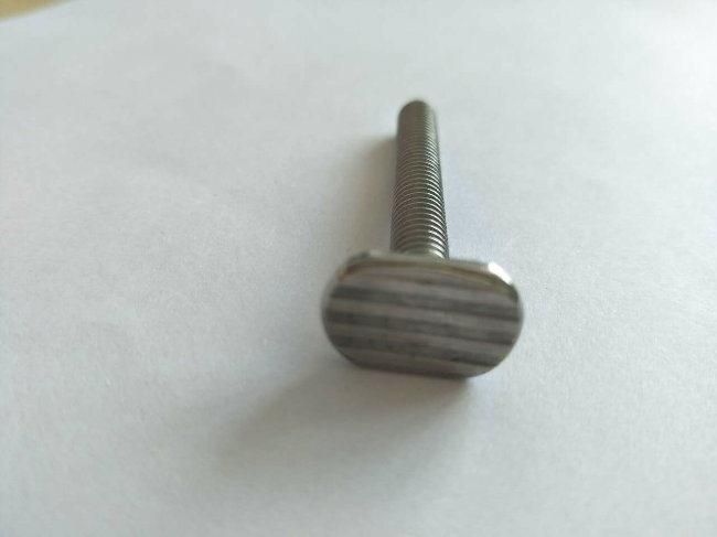 DIN/ANSI/BS/JIS Carbon-Steel/Stainless-Steel 4.8/8.8/10.9 Galvanized Bathroom Screws for Building