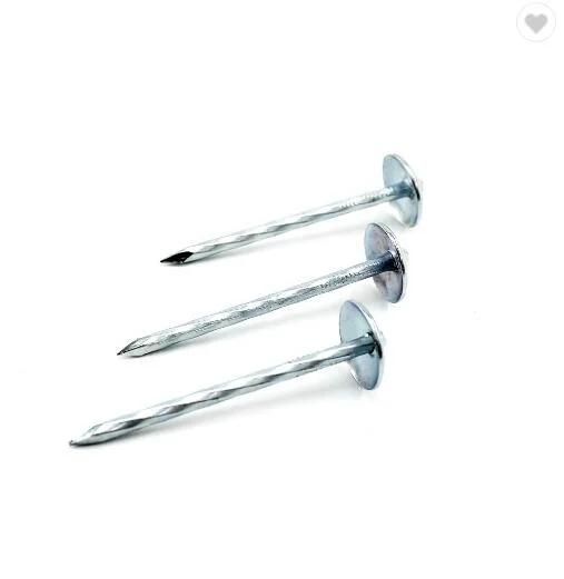 HD Galvanised 3" X 9ga 25kg Box Roofing Nails with Umbrella Head /Jolt Head Nails /Roofing Nails