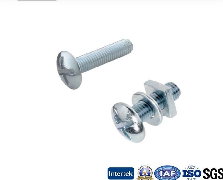 Gr4.8 Zinc Plated Roofing Bolt with Square Nut and Washer