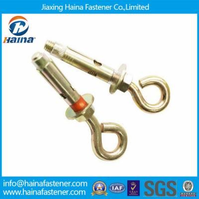 Jiaxing Haina Color Zinc Plated Sleeve Anchor with Eye Bolt