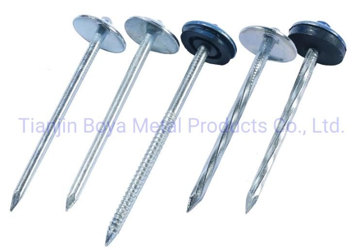 Good Quality Galvanized Umbrealla Head Roofing Nails Lowprice