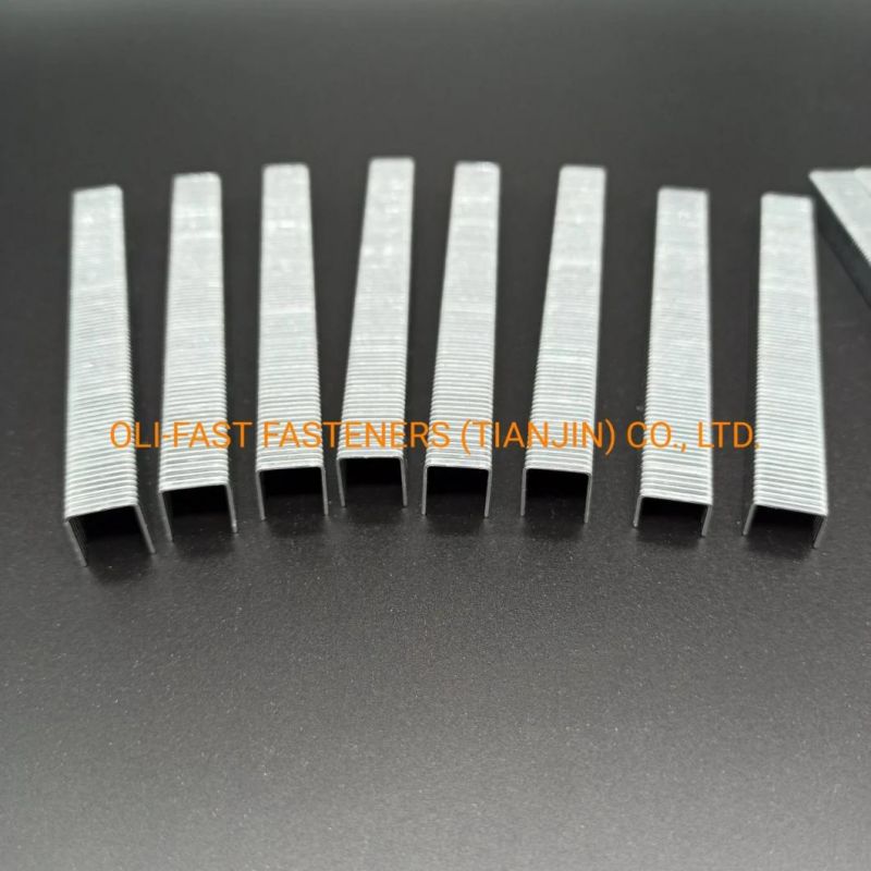 20ga A11/10 Staples for Upholstery with High Quality Factory Supply