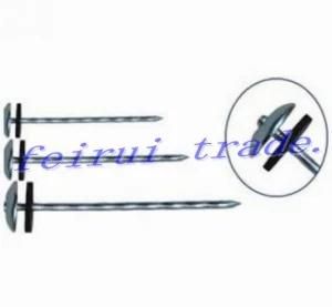 Hot Sales Roofing Nails with Capped Knurled Gasket for Turkey Market
