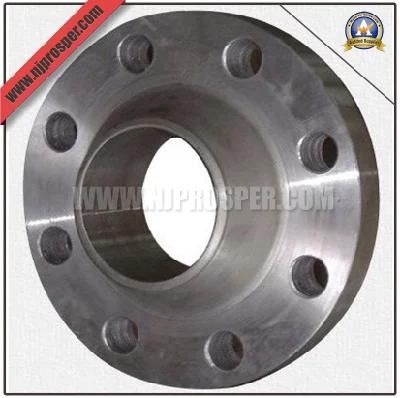 Carbon Steel/ Stainless Steel Welding Neck Flanges (YZF-F169)