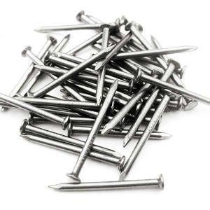 China Factory Supply Common Wire Nail Common Round Iron Wire Nails All Sizes