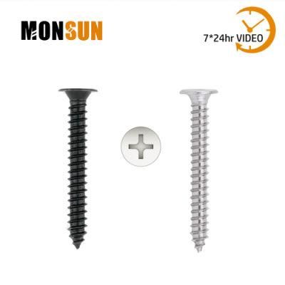 Extra Low Flat Head Self Tapping Screw with Phillips Drive