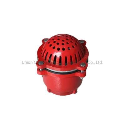 Fire Hose Fittings Full Threaded Mounting Cast Iron Couplings Strainer Foot Valve