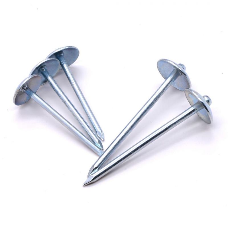 Chinese Factory Supply Umbrella Head Roofing Nails Construction Low Price Galvanized Roofing Nails