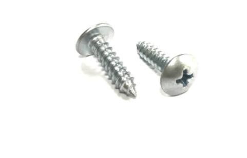 Size 4.2X25mm Modified Phillips Truss Head White and Blue Zinc Plated Self Tapping Screws