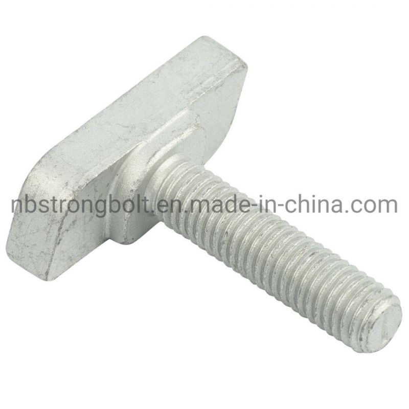 Customization Custmized Bolt Square Head Bolt Screw
