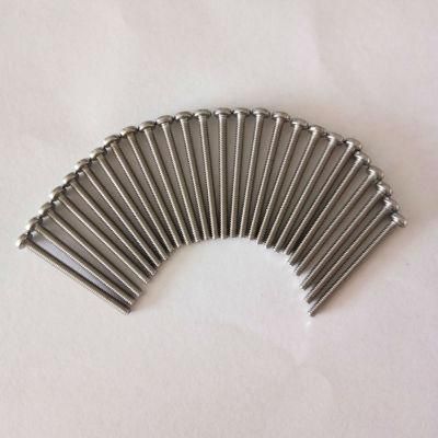 Stainless Steel Long Thread Screw Precision Screw Glasses Screw