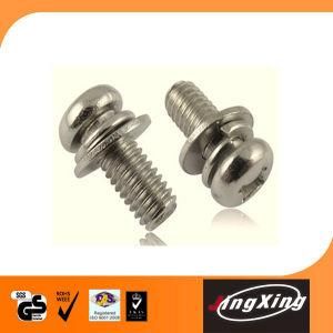 Combination Screws with Washer Assembled