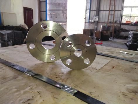 High Pressure 304 Stainless Steel Pipe Flange