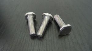 Square Head Screw in 304 Stainless Steel