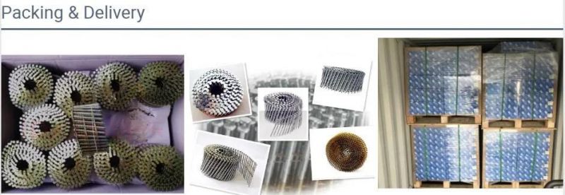 Coil Nails Plastic Sheet  0/15/16 Degree