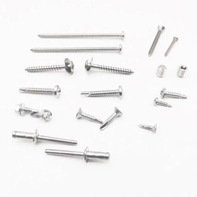 DIN/GB/ASTM Stainless Steel Machine Screw/ Self Tapping Screw/Self Driling Screw/Wood Screw/ Chipboard Screw/Roofing Screws