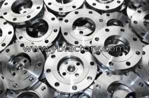 Stainless Steel 304 Tube Flanges with High Quality and Low Price