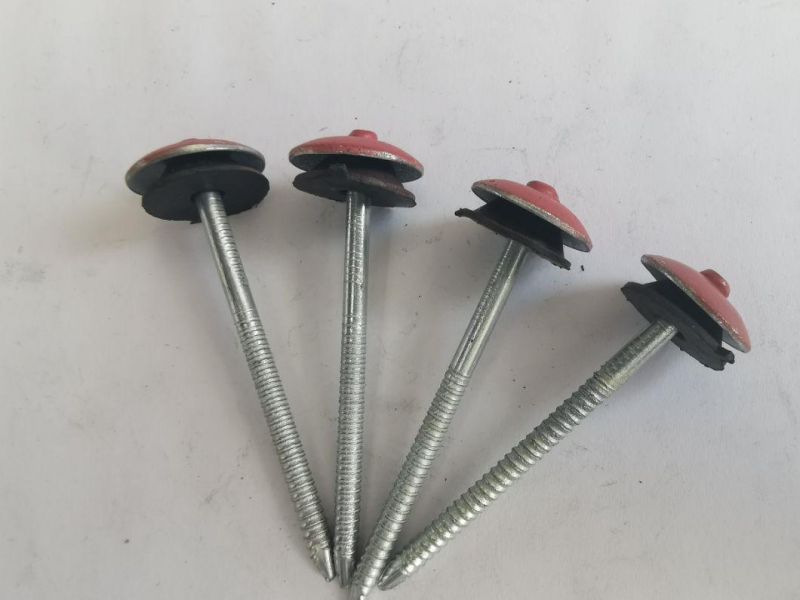 Hot Sale Q235 Iron Nail Perfect Quality Electric Galvanized Roofing Nail with Plain Shank and Twisted Shank