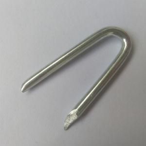 Cheap Price U Fence Staples