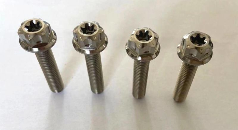Titanium Alloy M6 M8 M12 M14 Bolt Screws Nut