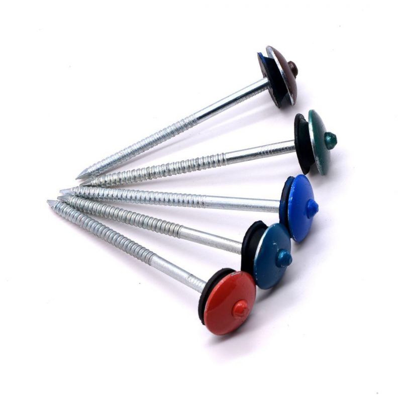 Color Head Electro Galvanized Ring Shank Umbrella Roofing Nail