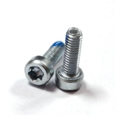 Torx Low Socket Head Cap 6 Lobe Drive Screw with Nylon Patch
