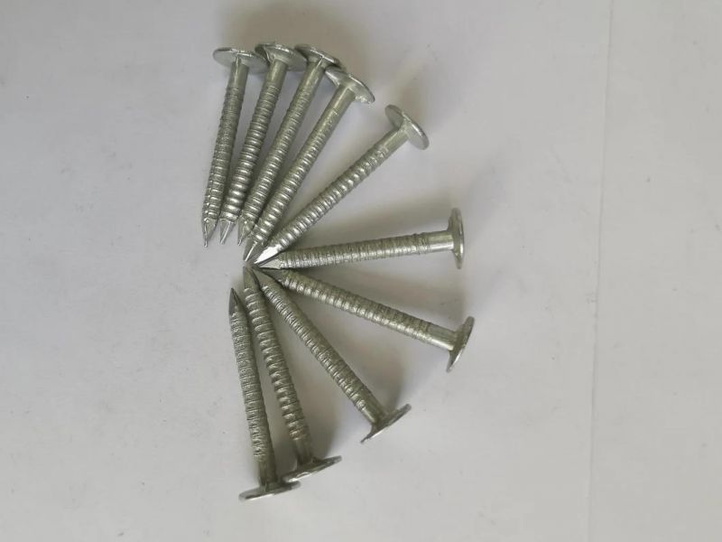 China Factory Premium Quality Building Materials Bright Polished Ring Shank Nail