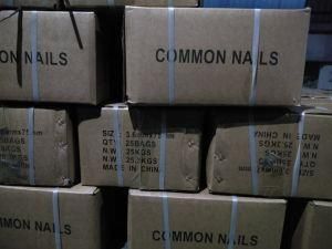Common Round Iron Wire Nail Factory