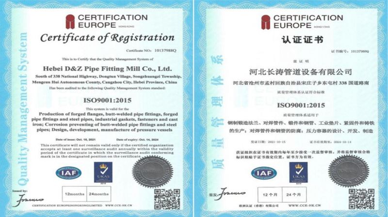 ASME/ANSI/DIN/En/GOST/BS/Uni/RF/FF/Rtj/150#-2500# Carbon Steel /Stainless Steel /Alloy Steel Forged Wn/So/Th/Pl/Sw/Lj/Bl Flange