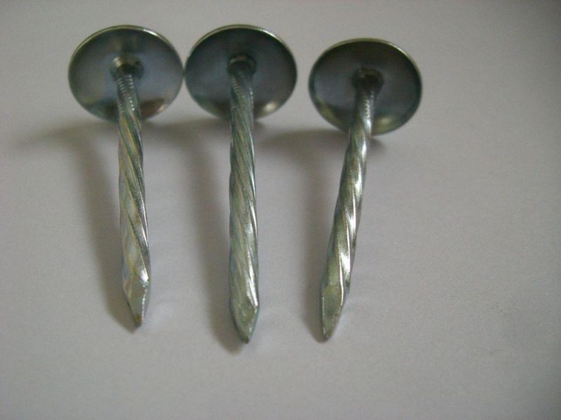 Roofing Nail with Umbrella Head in Electro Galvanized/ 4.5X75 4.5X90/Thread Rolling/Roofing Nail