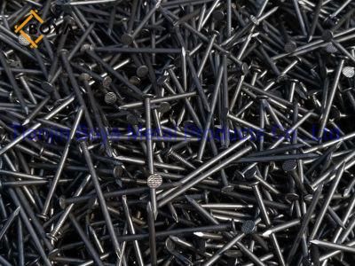 Material Q195 Polished Common Nail/Hot Dipped Galvanized Nail/Fastener Nail/Wood Nail for Building Construction