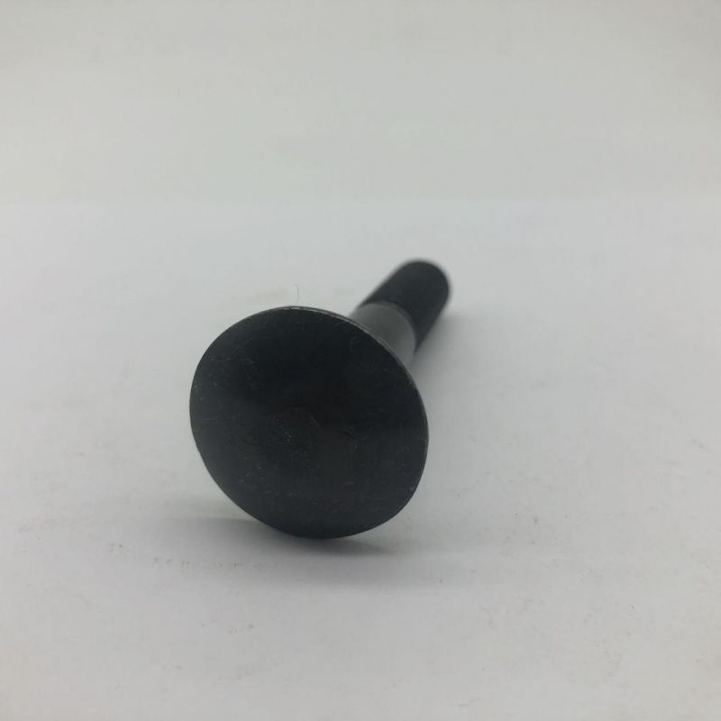 DIN603 Big Round Head Carriage Bolt
